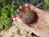 20190511_141605.webp