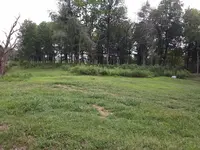 Old Chalybeate Springs Church Cemetery - panoramic looking west - badly overgrown SM.webp