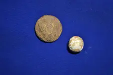 DSC_1016[1].webp