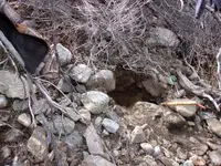 100_0346.webp