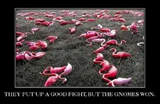 pink flamingos fight.webp pink flamingos fight.webp