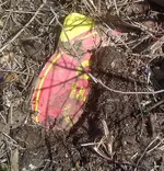 IMG_20190321_1301152.webp