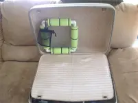 ImageUploadedByTreasureNet.com1553887657.418858.webp