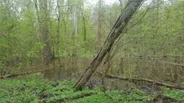 20190510_113422.webp