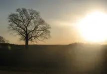 IMG_0066.webp IMG_0066.webp
