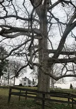 IMG_0053.webp IMG_0053.webp