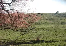 IMG_0116.webp IMG_0116.webp