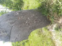 20190501_134055_001.webp