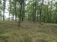 DSCN3929.webp