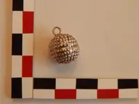 DSCN4146.webp