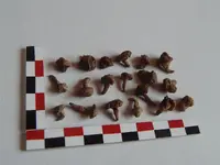 DSCN4336.webp