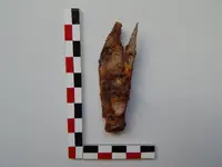 DSCN7293.webp