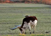 DSCN9531.webp