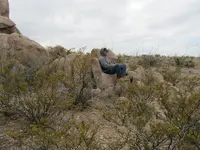 The Thinker or the Stinker.webp The Thinker or the Stinker.webp