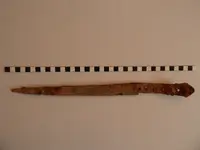 DSCN4194.webp