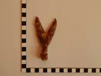 DSCN4249.webp