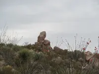 marker monument 2.webp