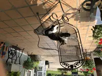 C896A40C-126B-487A-A78D-530609CA6678.webp