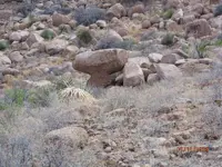 altar.webp