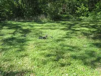IMG_0621.webp