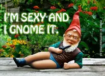 funny-picture-im-sexy-and-i-gnome-it.webp