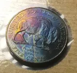 2005bisonreverse.webp