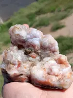 20190501_092900~2.webp