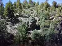 100_0364.webp
