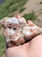 20190501_092928~2.webp