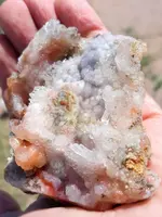 20190501_093005~2.webp