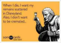 disney.webp