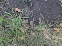 P3284355.webp