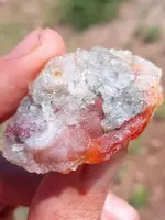 20190501_094034~2.webp