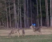 20190406_223831.webp