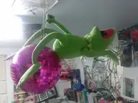 k8F8i1M5_2019622001720.webp