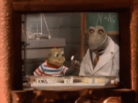 UA53E5Vr_2019622001715.gif
