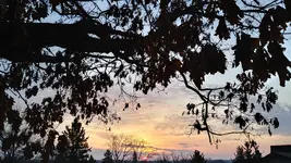 20190407_071319_HDR.webp