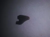 20190330_111841.webp