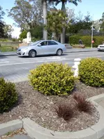 proposed dig site.webp