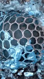 Screenshot_2019-03-22-09-15-11.webp