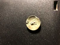 french navy button back.webp