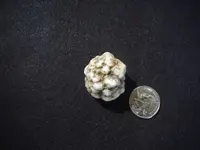 DSCF2160.webp
