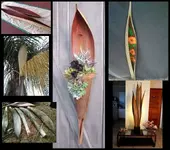 Palm Pod.webp
