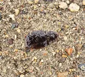20190406_150257.webp