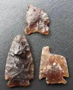 20190406_150431.webp 20190406_150431.webp