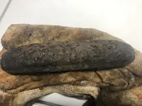 IMG_0798.webp