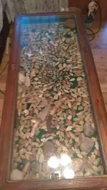 ImageUploadedByTreasureNet.com1556772027.491593.webp