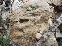 20190329_140825.webp