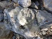 20190330_130645.webp