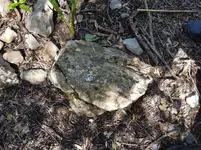 20190330_130809.webp